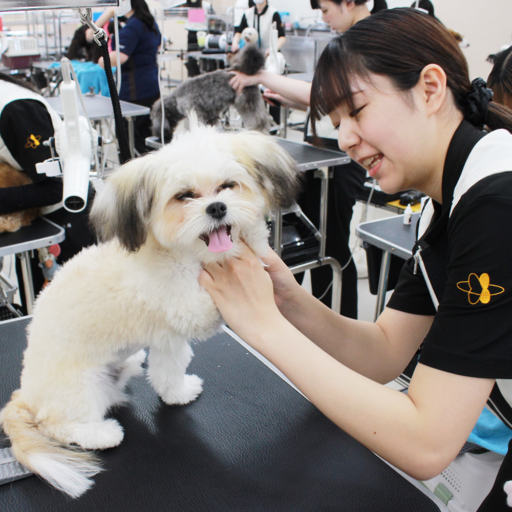 今日もかわいいお客様！